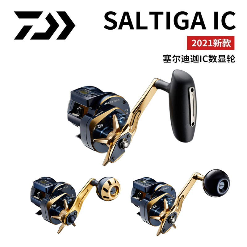 21 Japanse DAIWA Daiwa SALTIGA - Baitcasting Reel recensie en prijs
